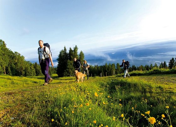 Wanderwege in der Region Murau