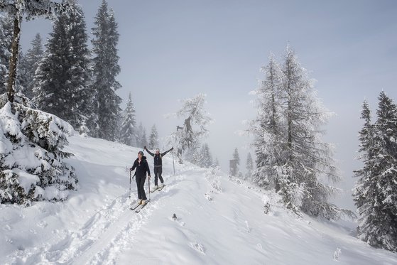 Langlaufen in der Region Murau-Kreischberg