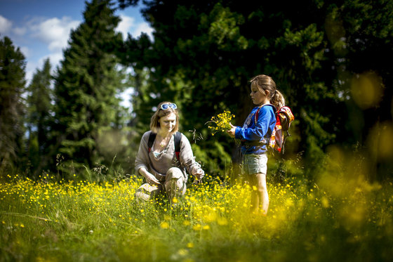 Herrliche Aussichten während der Wanderung