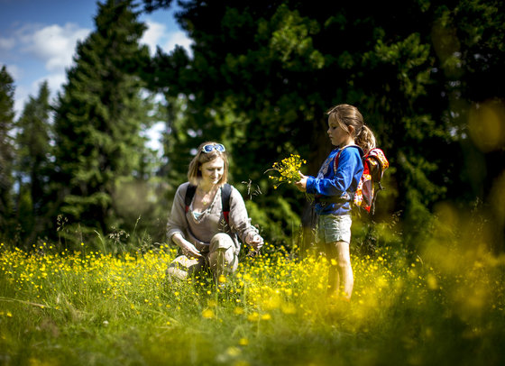 Familienurlaub in der Region Murau