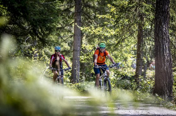 Radfahren in der Erlebnisregion Murau (c) Tom Lamm