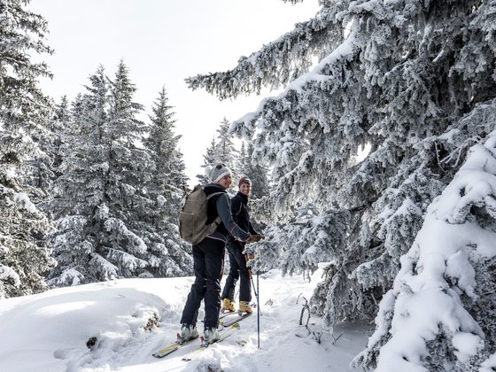 Geführte Wanderungen & Touren