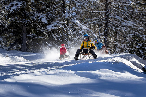 Rodeln mit der Familie in der Region Murau (c) Tom Lamm