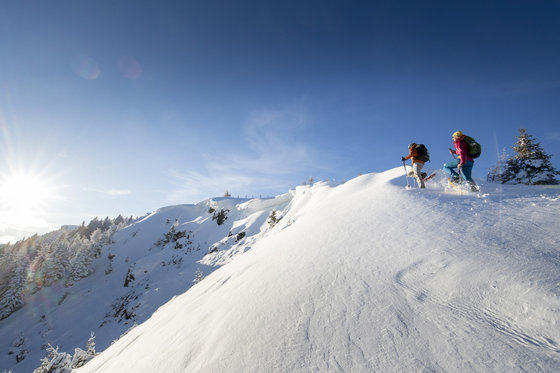 Schneeschuhwandern zum Gipfel in der Region Murau (c) Tom Lamm