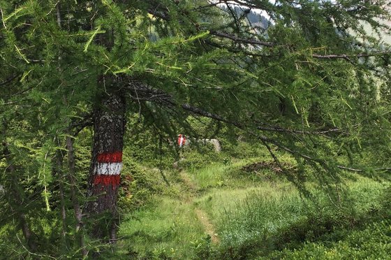 Wanderung auf den Gstoder