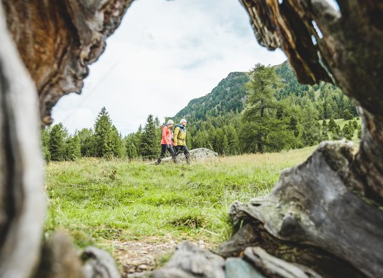 Herbstwanderung im Murauer Gasthof Hotel Lercher (c) Thomas Sobian