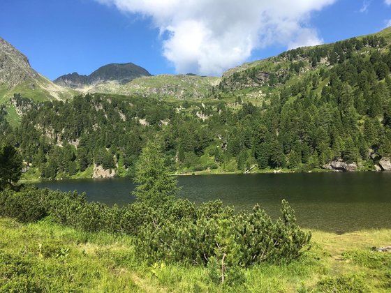 Wanderung auf den Schöderer Eisenhut