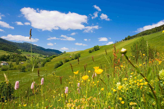 Herrlicher Ausblick (c) TVB Murau Kreischberg