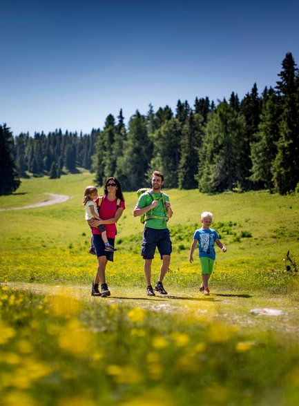 Wanderung zum Gipfel Frauenalpe