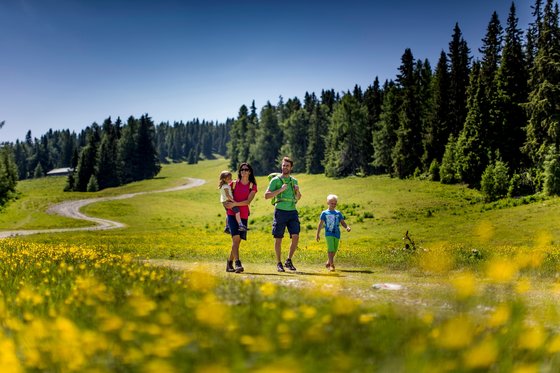 Familienwanderung im Sommer (c) Tom Lamm