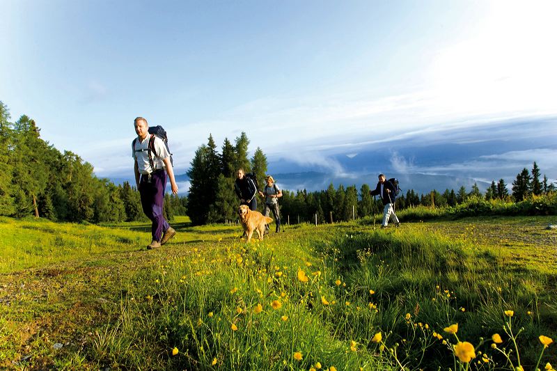 Wandern in der Region (c) TVB Murau-Kreischberg