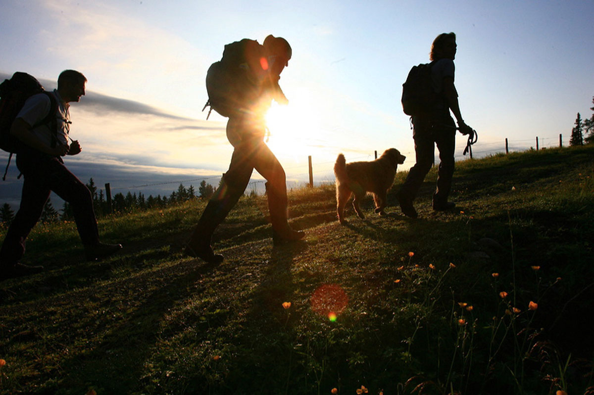 Sommerwanderung in Murau - (c) Tourismusverband Murau